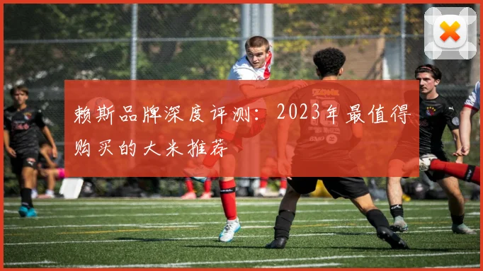 赖斯品牌深度评测：2023年最值得购买的大米推荐